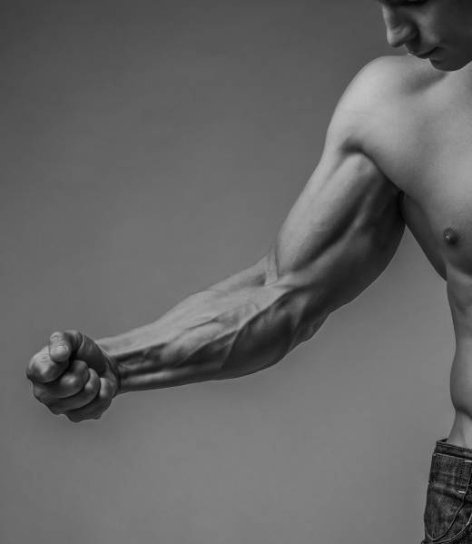 muscular-arm-and-torso-3